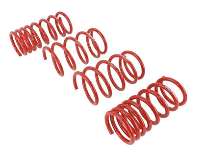 Skunk2 Lowering Springs (Set of 4)