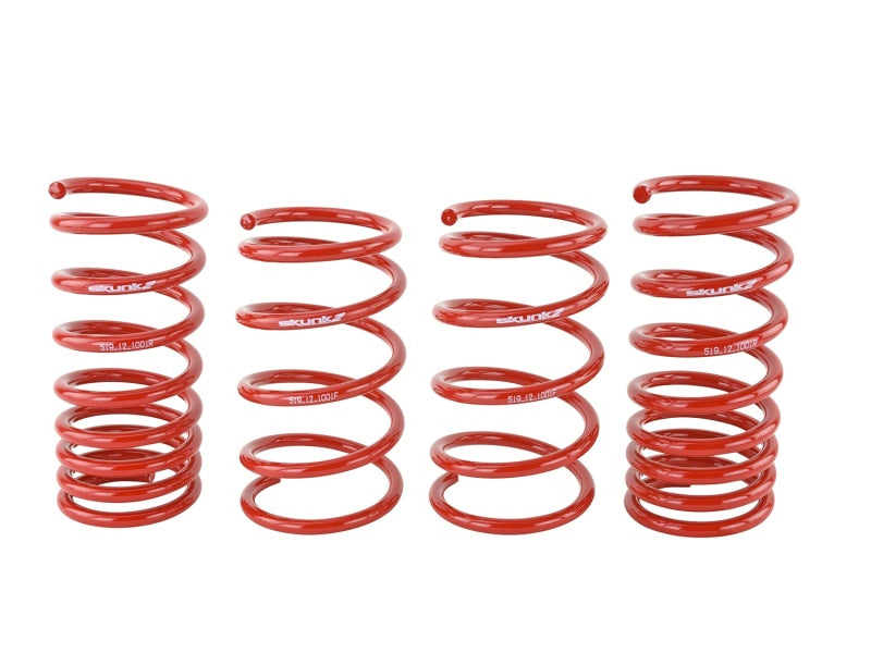 Skunk2 Lowering Springs (Set of 4)