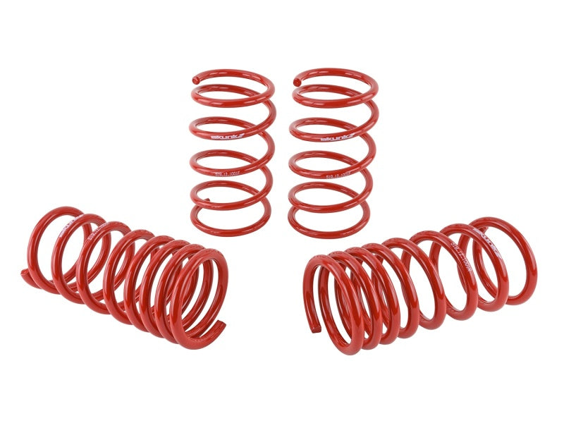 Skunk2 Lowering Springs (Set of 4)