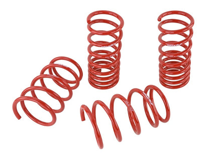 Skunk2 Lowering Springs (Set of 4)